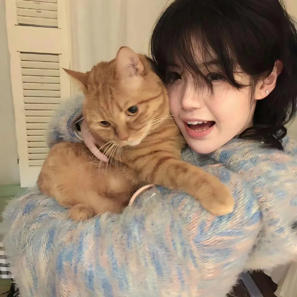 深闺梦里人